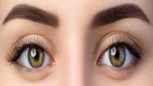 Trasplante De Cejas